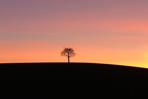 Tree Isolation Loneliness Release Hypnosis OUTthink LGBT Podcast Hypnotherapy Counselling Melbourne