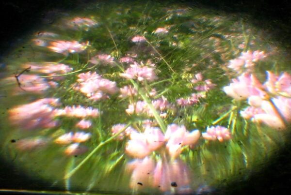Memory Reliability Faded Memories Release Hypnosis Melbourne Hypnotherapy Counselling Hypnotherapy HQ St Kilda Rd