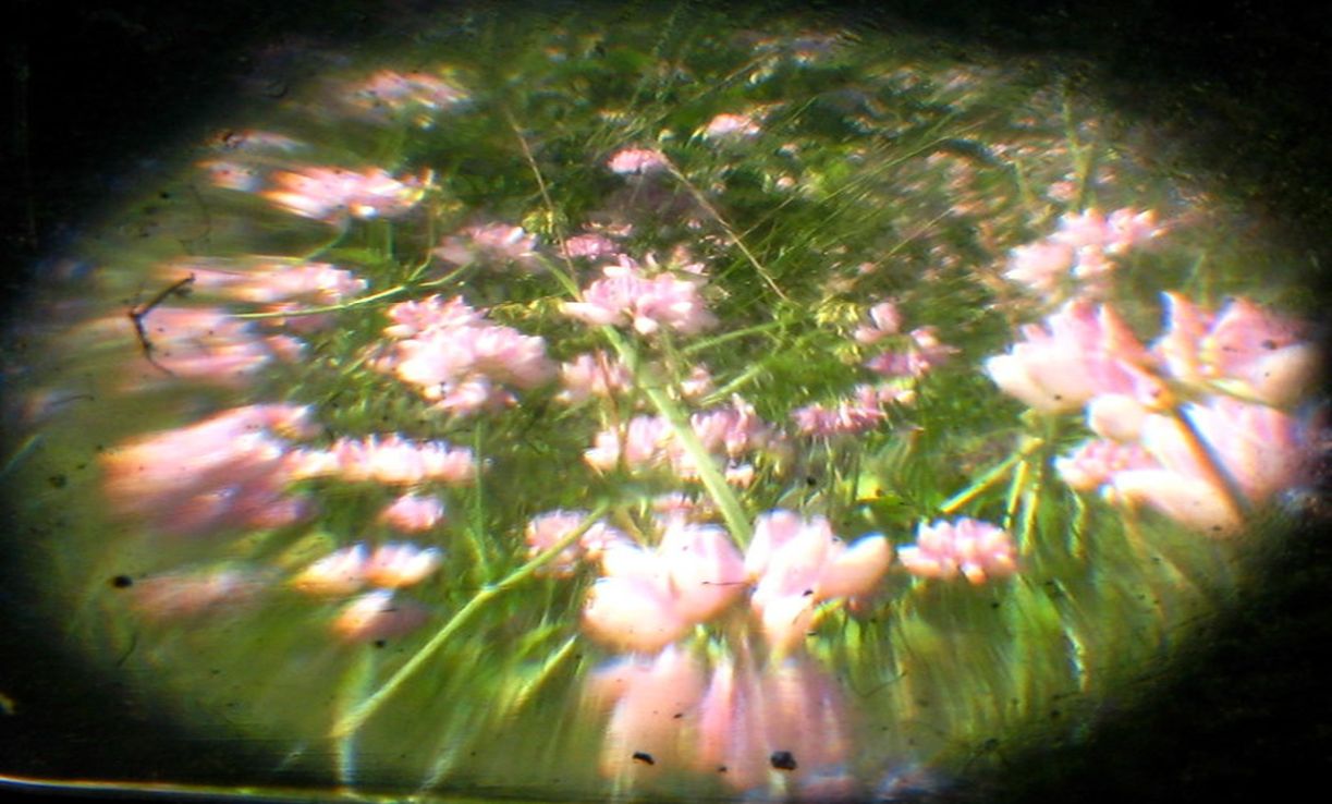 Are Memories Reliable?