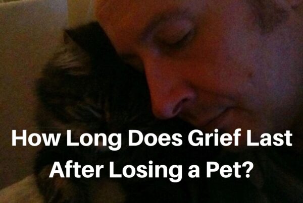 Man snuggling his cat How long does grief last after losing a pet Release Hypnosis Melbourne Hypnotherapy Counselling Therapy