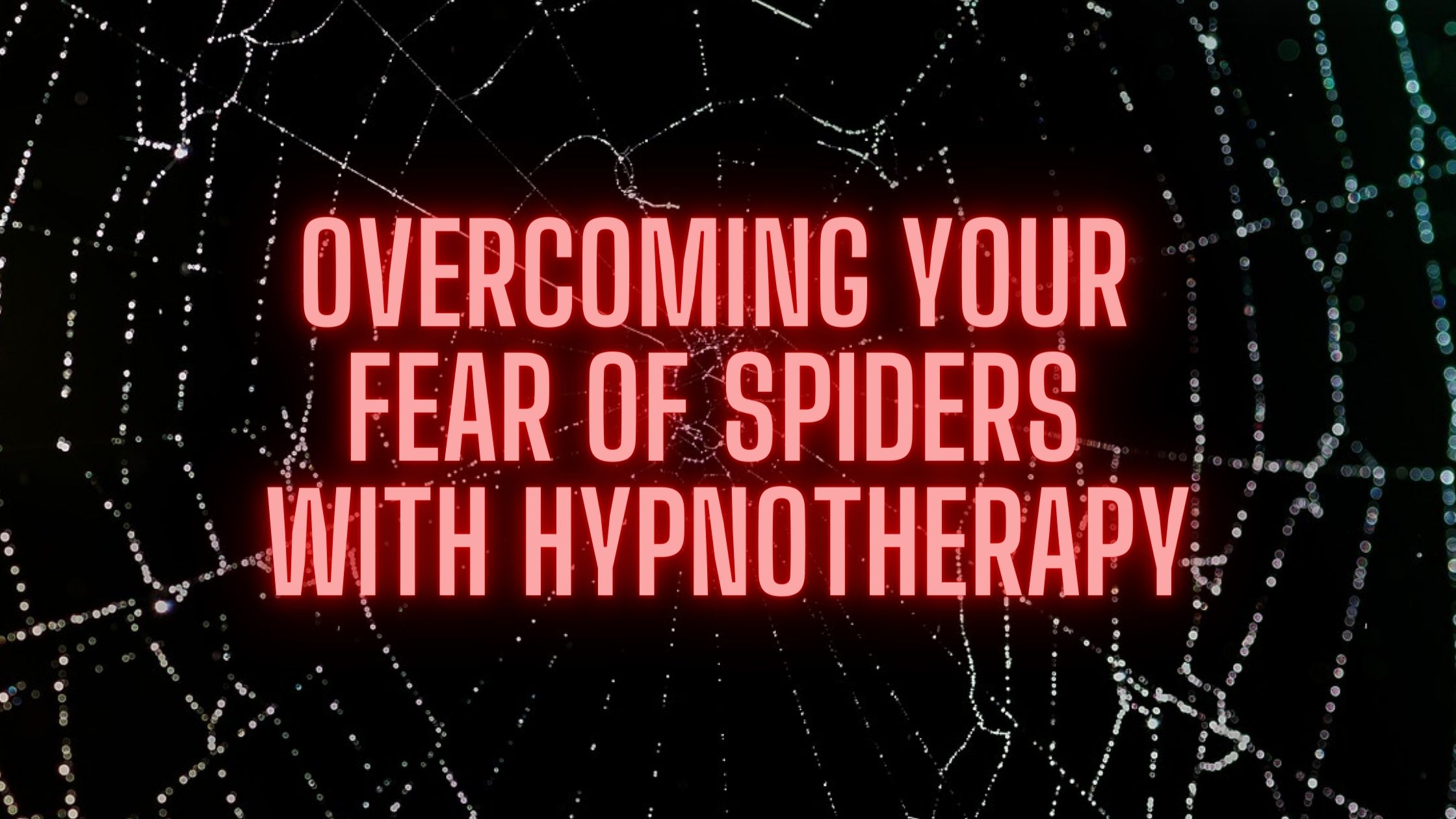 Your Fear of Spiders with Hypnotherapy